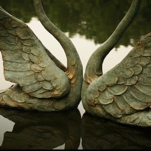 Swans by Scott Radke 