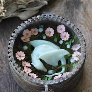 A Dragon's Nest by Alexis Savopoulos 