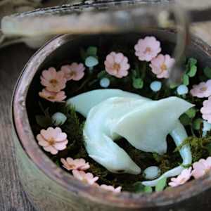 A Dragon's Nest by Alexis Savopoulos 