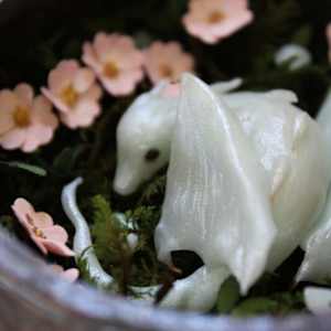 A Dragon's Nest by Alexis Savopoulos 