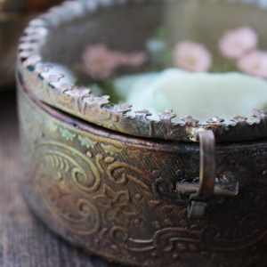 A Dragon's Nest by Alexis Savopoulos 