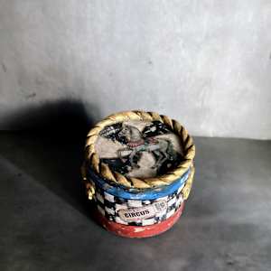 Circus Bear 2 by Aya Sakai 