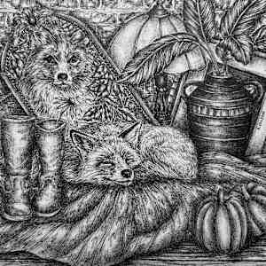 Big Dreams by Anna Wilson