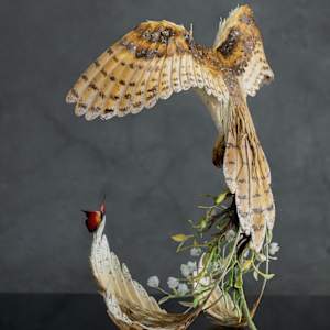 Silent shadow by Karun Roma 