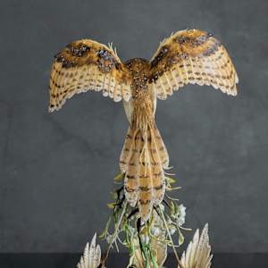 Silent shadow by Karun Roma 