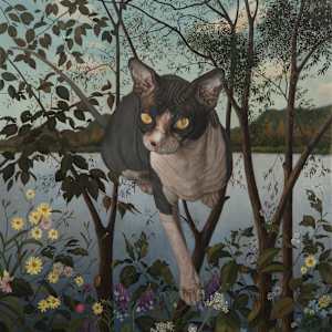 A Sphynx Cat by Cho Hyeon Jung