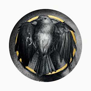 Icarus by Andrew K. Currey 