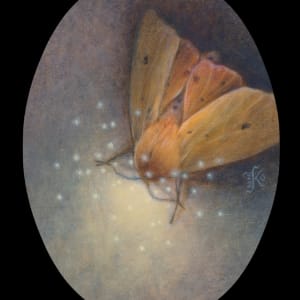 Isabella Hawk Moth by Kaysha Siemens 