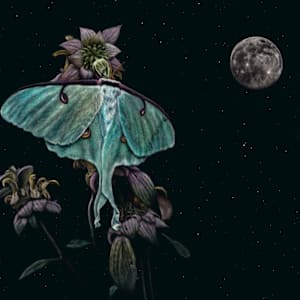 Lunar Transcendence by Brittany Johnson