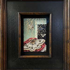 NACHTFALTER (FOR DANA) by Madeline von Foerster, Image 2.