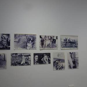 Clever Donkeys by Marie Désert 