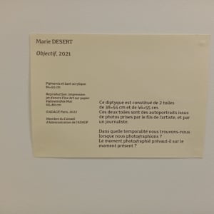 Objectif by Marie Désert  Image: Copyright ADAGP, Paris 2021