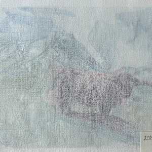 Tissu - Vache Highlands by Marie Désert 