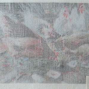 Tissu - Les poules de Max et Auré by Marie Désert 