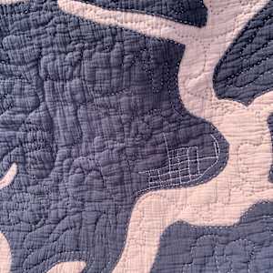 Kickapoo River Quilt by Shea Schachameyer 