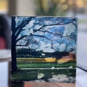 On The Road by Laura Phillips
