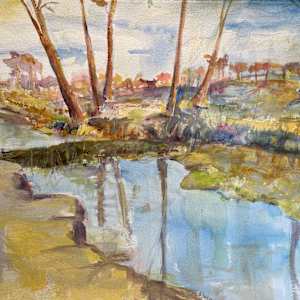 HoCo Conservancy - Beaver Dam by Elaine Weiner-Reed