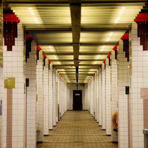 Passage Of Echoes by Cordelia Cornish