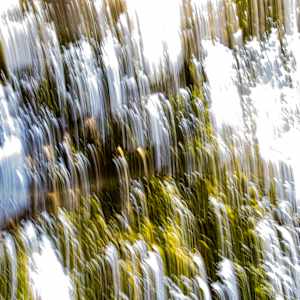 Sunrays by King James