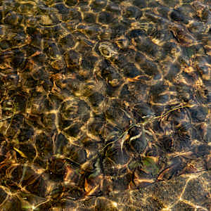 Serenity by Maiyara Tavares