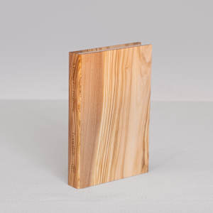 Closed Book - "A Primer for Forgetting: Getting Past the Past" by Lewis Hyde 1/7 by Adam Geluda Gildar