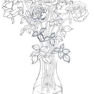 Vases of Roses by Sam Borden