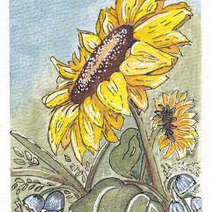 Sunflower 1 by Tonya Schorre