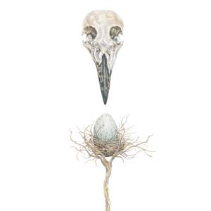 Hatching Mortality by Susan K. Theroff