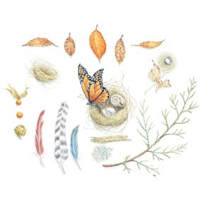 Nature Collected #33 by Susan K. Theroff