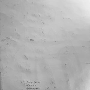 Burlesque Girl by Robbi Firestone 