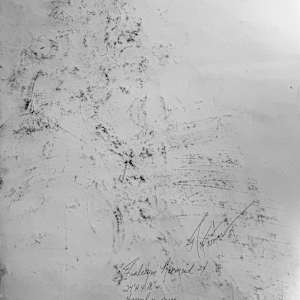 Burlesque Mermaid by Robbi Firestone 