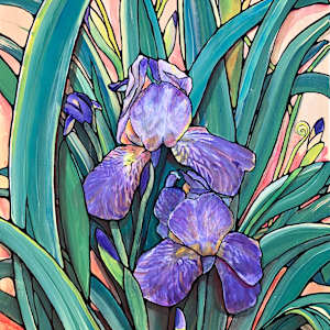 Old Fashioned Purple Bearded Iris by Betsy Horn