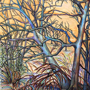 The Forest's Lament (Lake Grapevine) by Betsy Horn