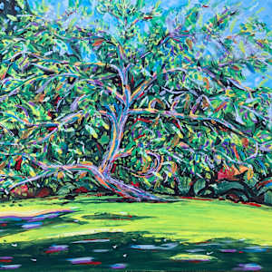 The Parrish's Mesquite Tree by Betsy Horn  Image: The Parrish's Mesquite Tree