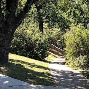 Tillery Park by Betsy Horn  Image: Reference Photo