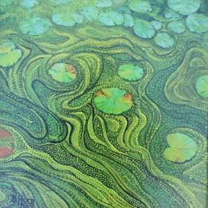 Caddo Lake Lotus Pads - original by Betsy Horn, Image 1.
