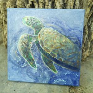 Turtle Sees by Stephanie McGregor 