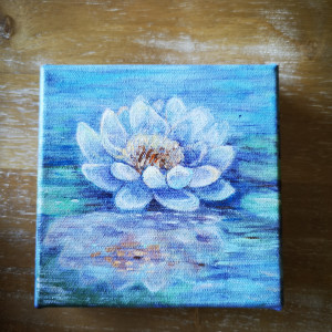 Water Lily (white) by Stephanie McGregor