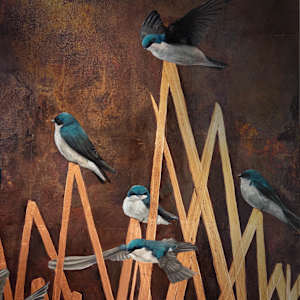 Gathering by Katheryn Anne Hande 
