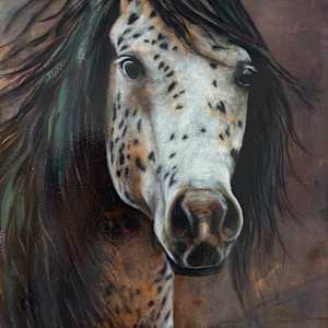 Untamed Spirit by Katheryn Anne Hande 