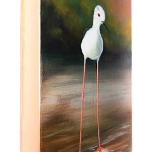 A Pause in Quiet Shallows by Katheryn Anne Hande 