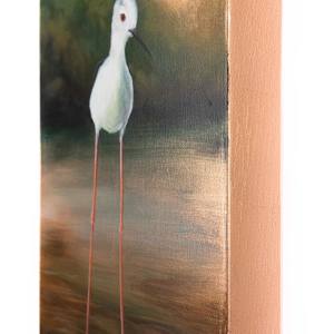 A Pause in Quiet Shallows by Katheryn Anne Hande 