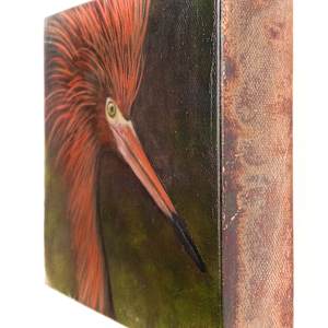 Crowned in Flame, The Ember King by Katheryn Anne Hande 