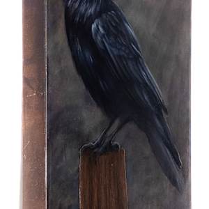 See Light Through the Shadows by Katheryn Anne Hande 