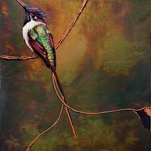 Hummingbird No. 15 by Katheryn Anne Hande, Image 1.