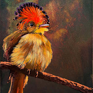 Flycatcher No. 2 by Katheryn Anne Hande, Image 1.