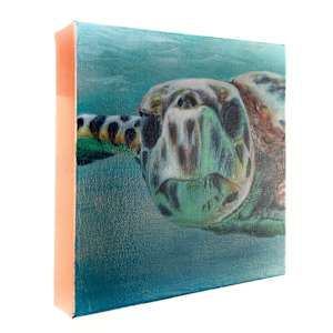 In the Flow of Forever by Katheryn Anne Hande 