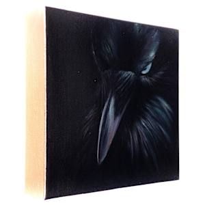 Quiet Shadows Bloom With Light by Katheryn Anne Hande 