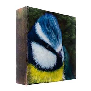 Beauty that Cannot Hide by Katheryn Anne Hande 