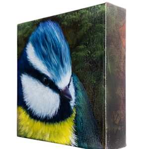 Beauty that Cannot Hide by Katheryn Anne Hande 